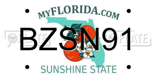 BZSN91 Florida License Plate