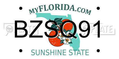 BZSQ91 Florida License Plate