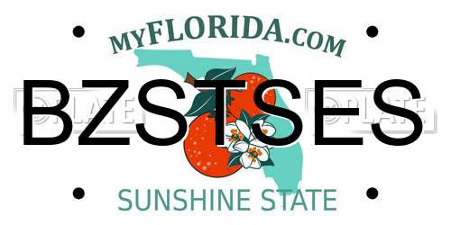 BZSTSES Florida License Plate
