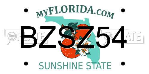 BZSZ54 Florida License Plate