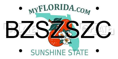 BZSZSZC Florida License Plate