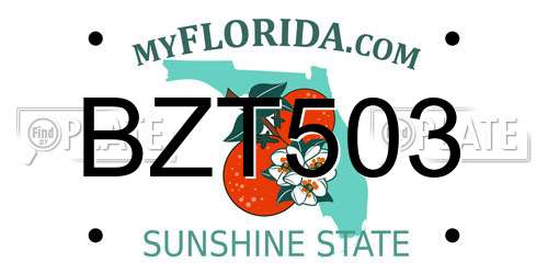 BZT503 Florida License Plate