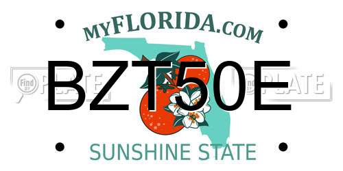 BZT50E Florida License Plate