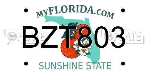 BZT803 Florida License Plate