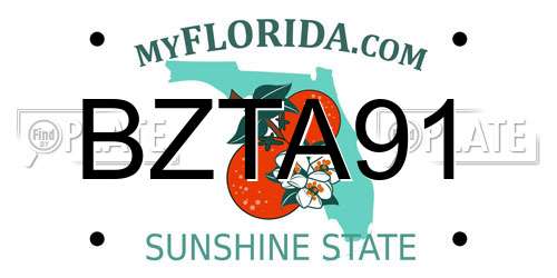 BZTA91 Florida License Plate