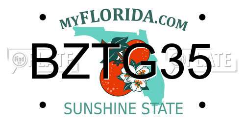 BZTG35 Florida License Plate