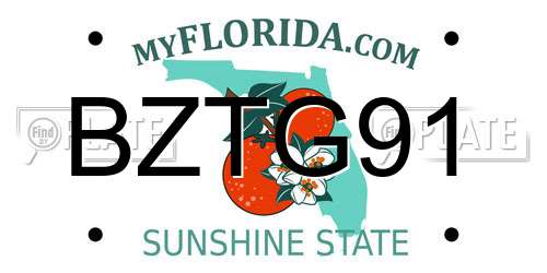 BZTG91 Florida License Plate