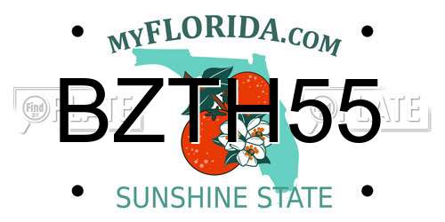BZTH55 Florida License Plate