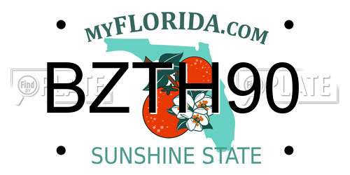 BZTH90 Florida License Plate