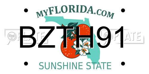 BZTH91 Florida License Plate