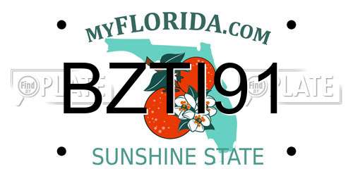 BZTI91 Florida License Plate