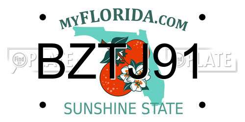 BZTJ91 Florida License Plate