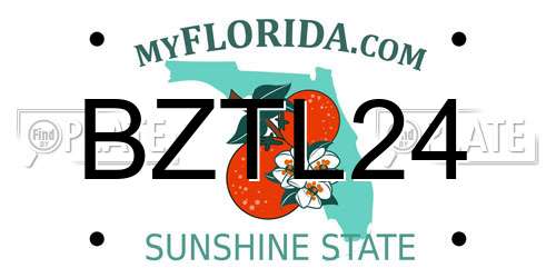 BZTL24 Florida License Plate