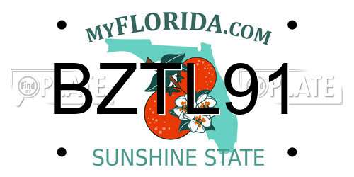 BZTL91 Florida License Plate