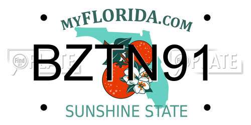 BZTN91 Florida License Plate