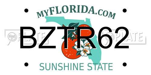 BZTR62 Florida License Plate