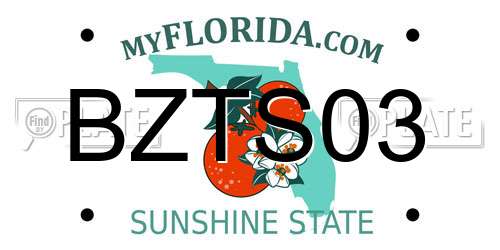 BZTS03 Florida License Plate