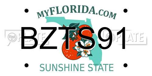 BZTS91 Florida License Plate