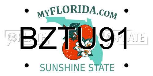 BZTU91 Florida License Plate