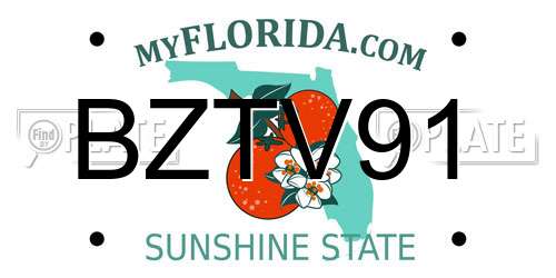 BZTV91 Florida License Plate