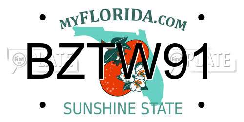 BZTW91 Florida License Plate