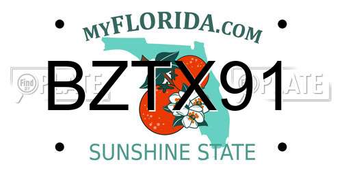 BZTX91 Florida License Plate