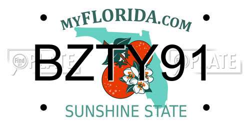 BZTY91 Florida License Plate