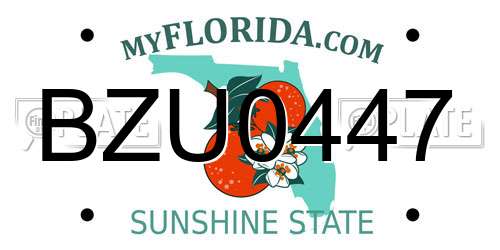 BZU0447 Florida License Plate