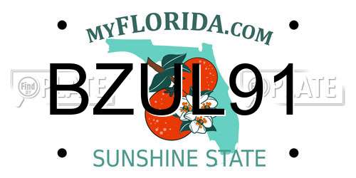BZUL91 Florida License Plate