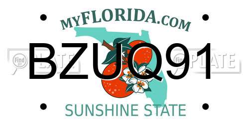 BZUQ91 Florida License Plate