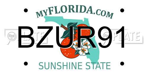 BZUR91 Florida License Plate