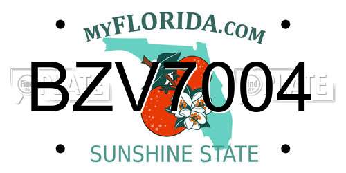 BZV7004 Florida License Plate