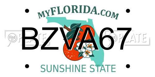 BZVA67 Florida License Plate