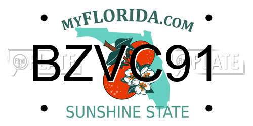 BZVC91 Florida License Plate