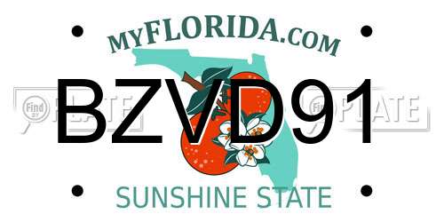 BZVD91 Florida License Plate