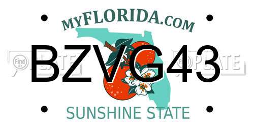 BZVG43 Florida License Plate