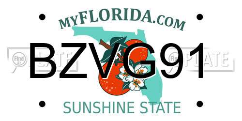 BZVG91 Florida License Plate