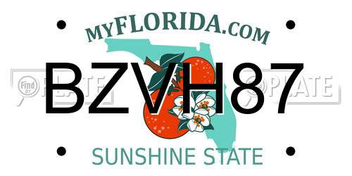 BZVH87 Florida License Plate