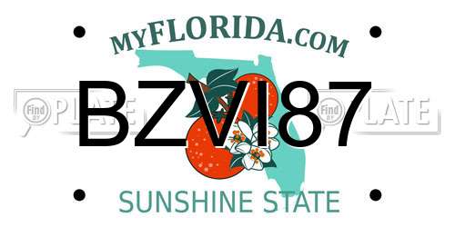 BZVI87 Florida License Plate