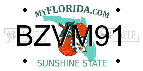 BZVM91 Florida License Plate