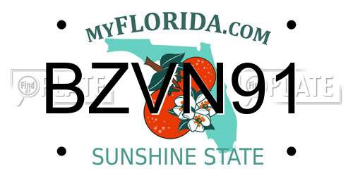 BZVN91 Florida License Plate