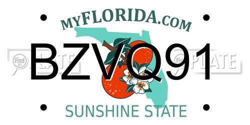BZVQ91 Florida License Plate