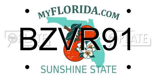 BZVR91 Florida License Plate