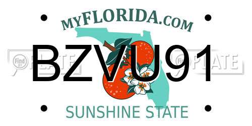 BZVU91 Florida License Plate