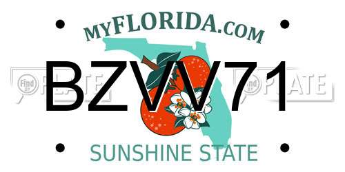 BZVV71 Florida License Plate