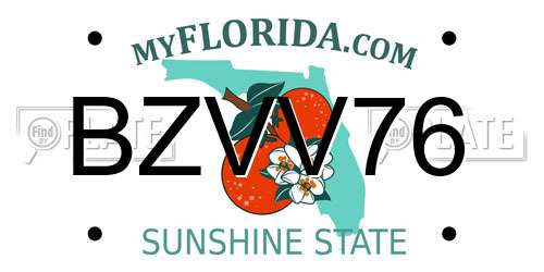 BZVV76 Florida License Plate