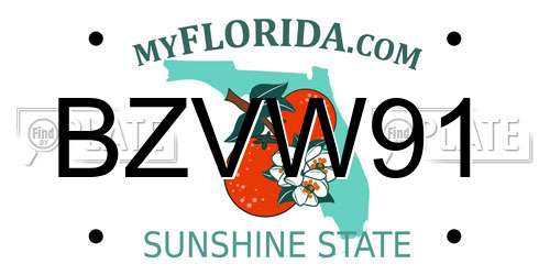 BZVW91 Florida License Plate