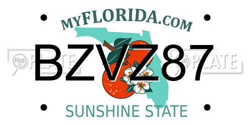 BZVZ87 Florida License Plate