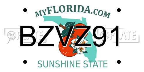 BZVZ91 Florida License Plate