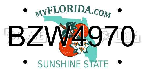 BZW4970 Florida License Plate